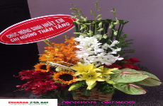 Shop Bán hoa Tươi Tại Thành Phố Bắc Giang 
