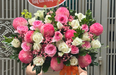 Shop Hoa Tươi Phường Quy Nhơn
