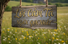 lời cảm tạ ngắn gọn nhất