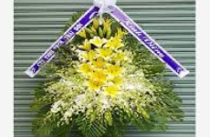 Hoa đám tang người già