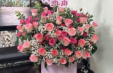 Cửa Hàng hoa tươi huyện Cái Bè 