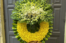 Điện Hoa Khánh Hòa 