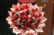 Shop Hoa Tươi An Lão Bình Định