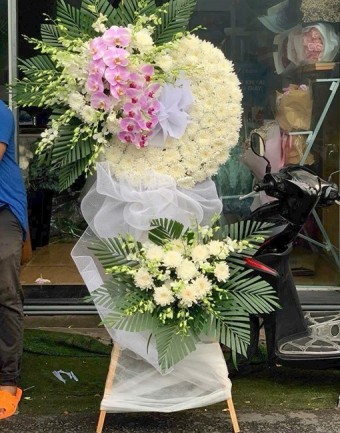 Về Cõi An Nhiên
